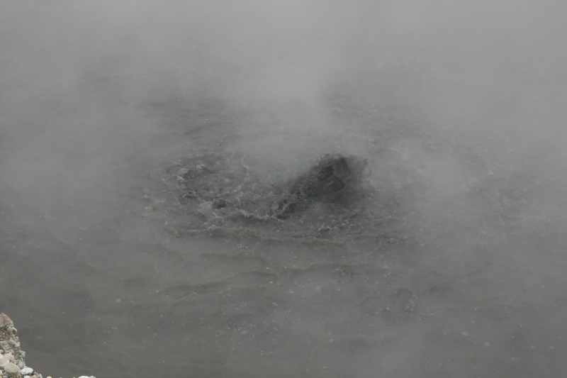 Nieuw-Zeeland 2011 - 0612